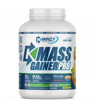 MASS GAINER PRO - 3000 GR