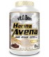 HARINA DE AVENA - 1 KG