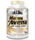 HARINA DE AVENA - 1 KG