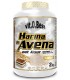 HARINA DE AVENA - 1 KG