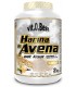 HARINA DE AVENA - 1 KG